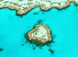 Heart Reef