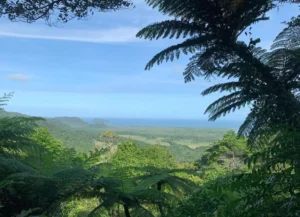Mount Alexandra Lookout