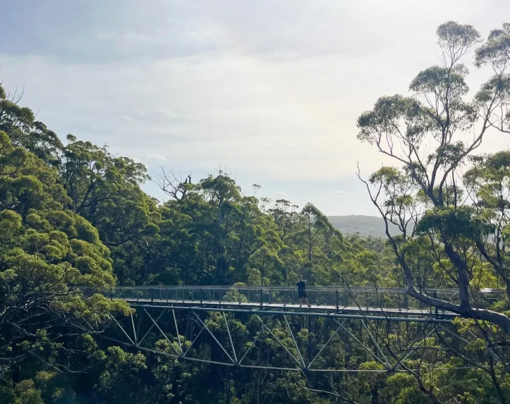 Valley of the Giants