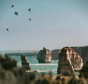 How to Enjoy a Budget-Friendly Tour of the Great Ocean Road
