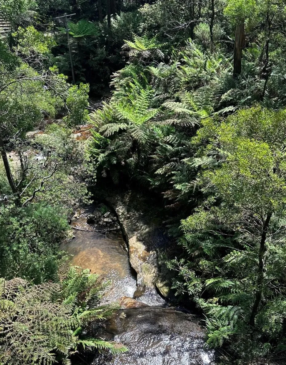 Leura Cascades
