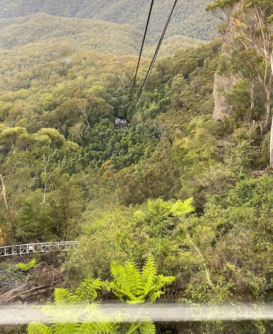 Scenic Cableway