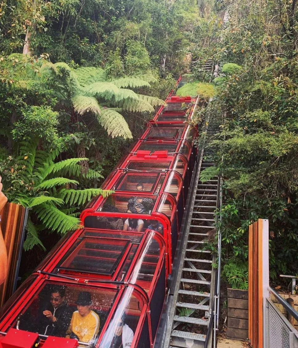 Scenic World
