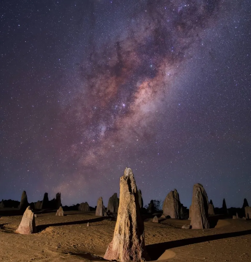 The Pinnacles’ Flora and Fauna