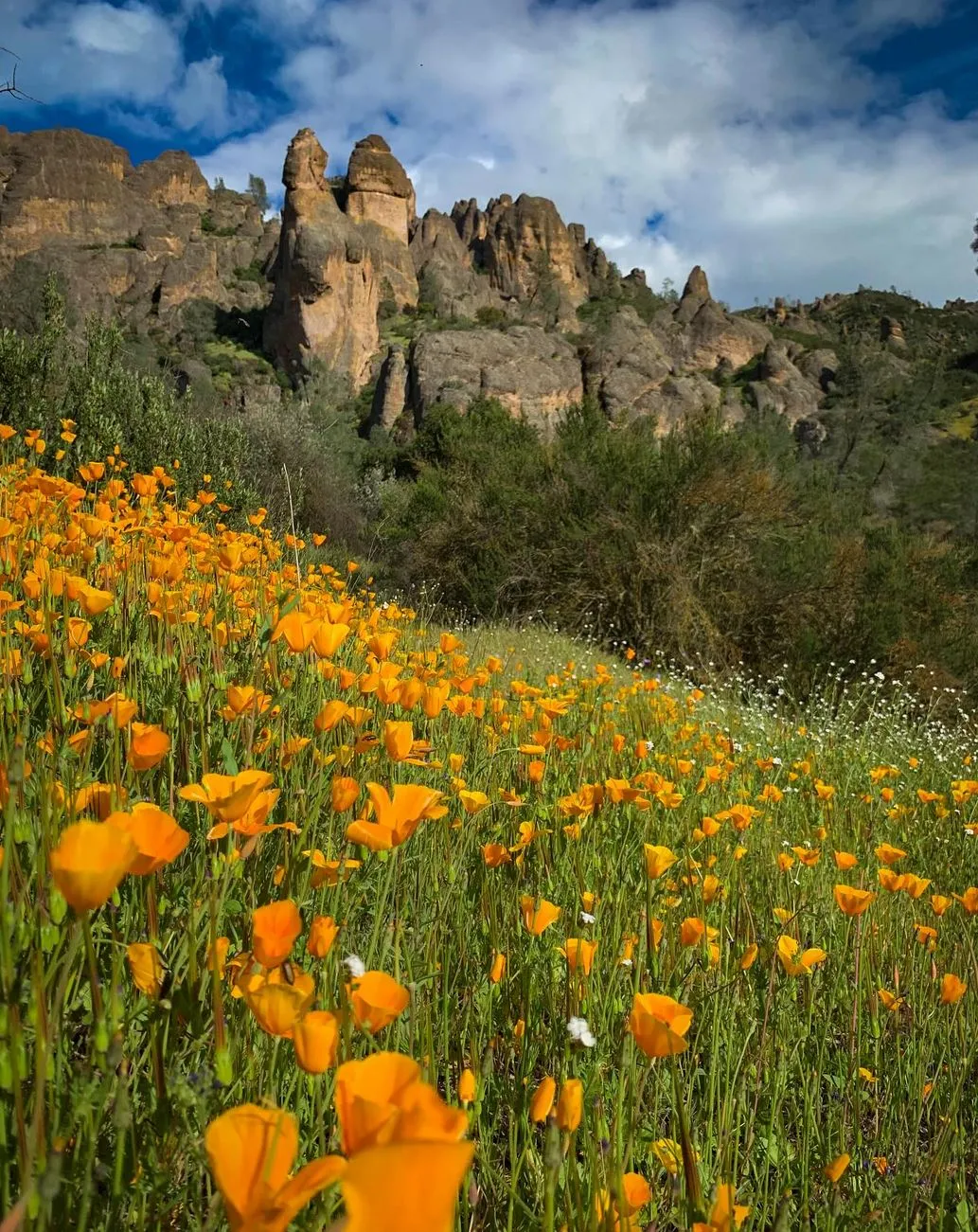 Pinnacles National Park