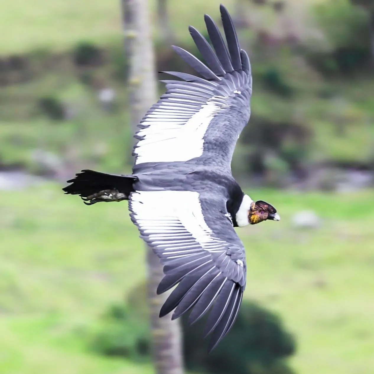 Why This Desert Landscape Is Unique