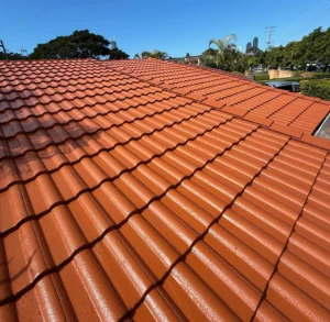 Spray On Roofing