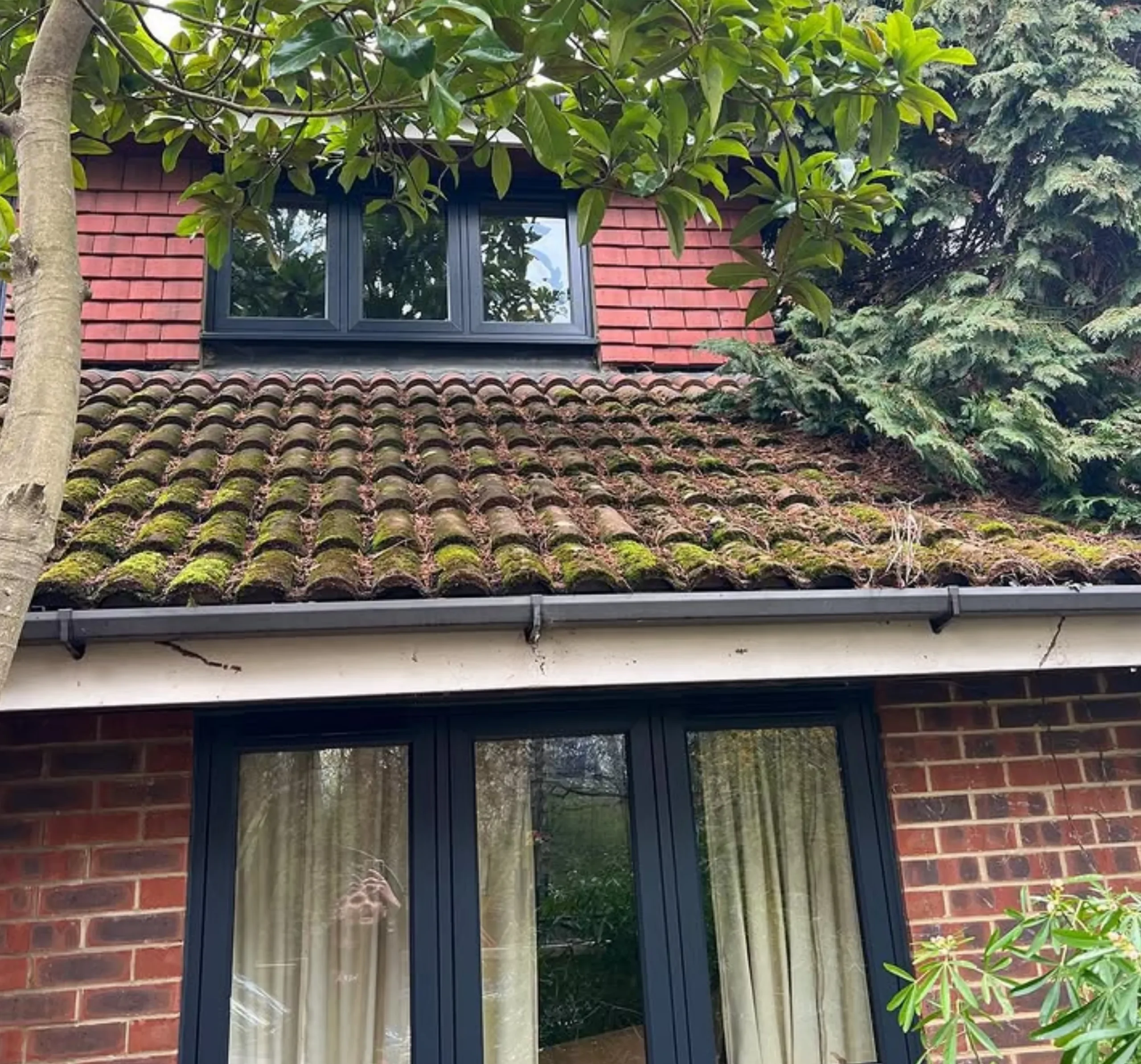 acrylic roof coating