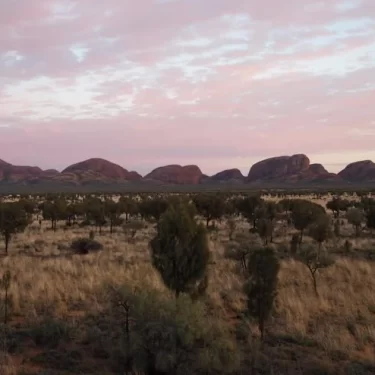alice springs day tour