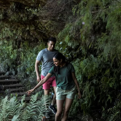 blue mountains day trip