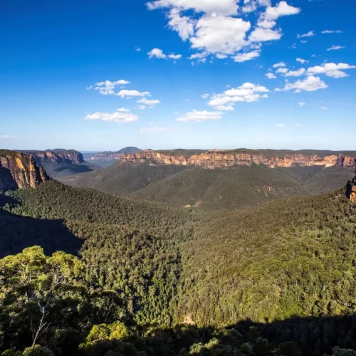 blue mountains tours