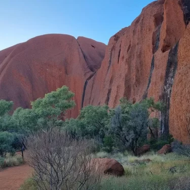 day tours alice springs