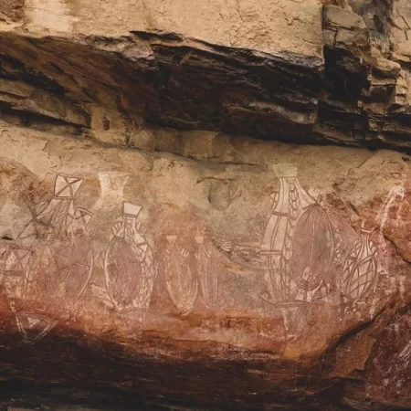 day tours from darwin