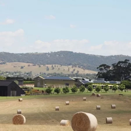 day trip to yarra valley
