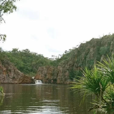 day trips from alice springs