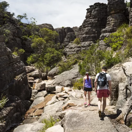 cheap grampians tour