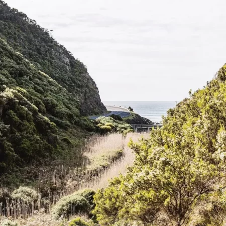 great ocean road day trip