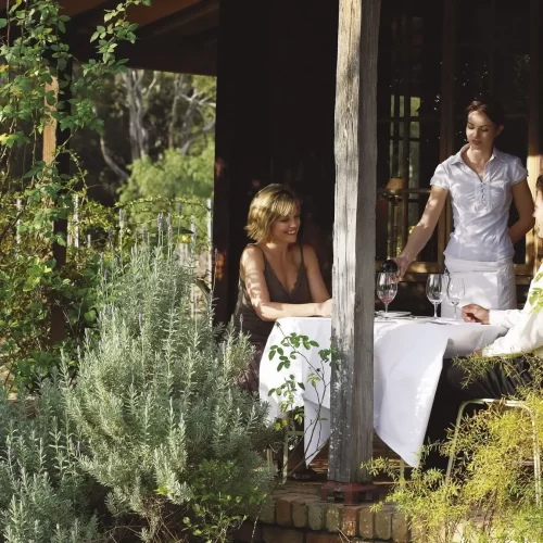 hunter valley wine tour