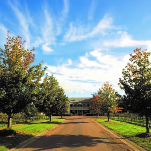 hunter valley winery tours