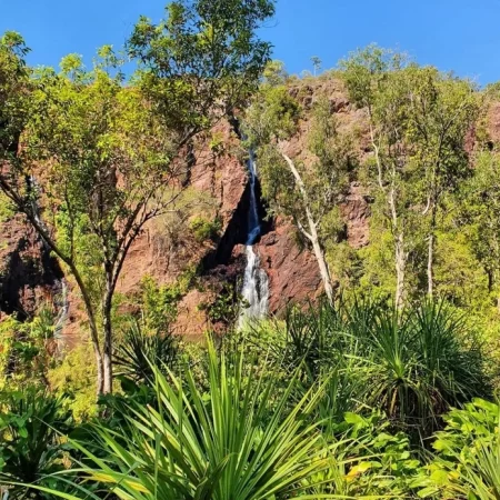 litchfield national park tours