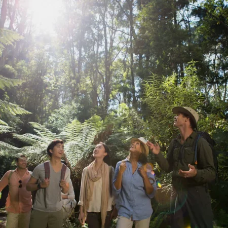 one day tour melbourne