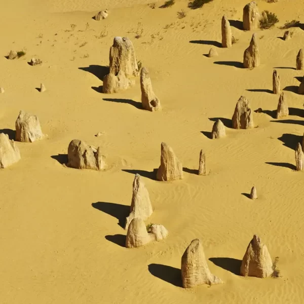 pinnacle tours perth