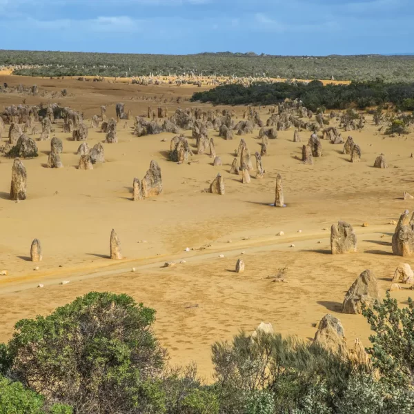 Pinnacles Stargazing Tour