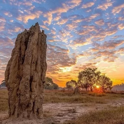 things to do in northern territory