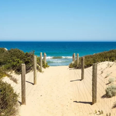 things to do on the great ocean road