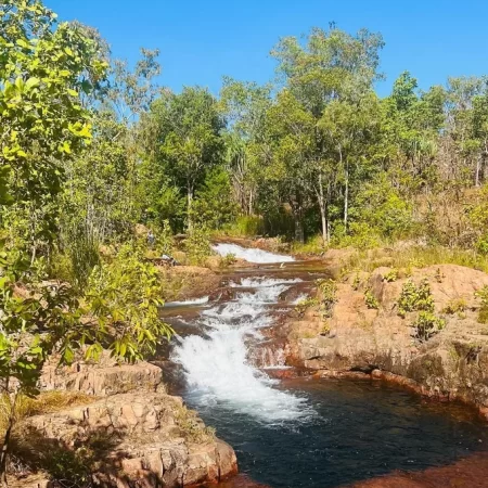 tours litchfield national park