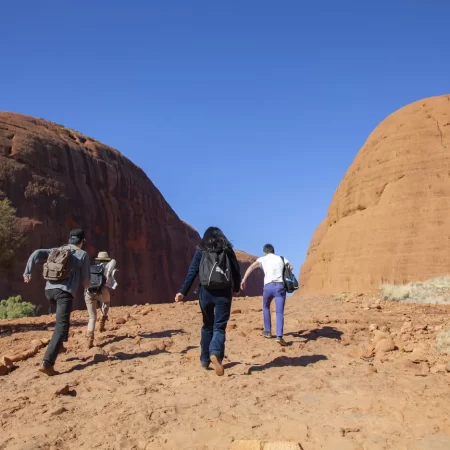 tours to alice springs and uluru