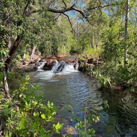 tours to litchfield national park