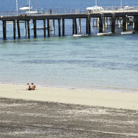 winery tour mornington peninsula