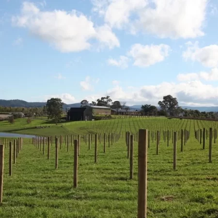 yarra valley things to do